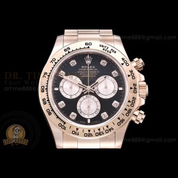 Daytona 126505 Wtd 904L RG...