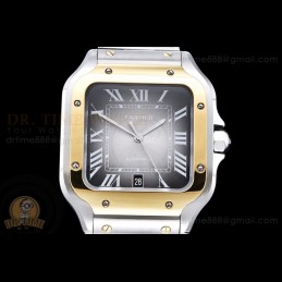 Santos De Cartier 2018 Mens...