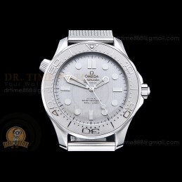 Seamaster Diver 300m SS...