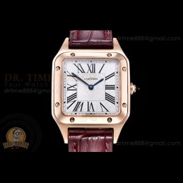 Santos-Dumont (Small) RG...